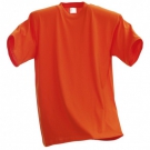 Pánské triko T160 - různé barvy